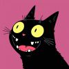 Cat。