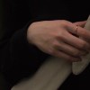 Word麻鸭的头像-七日杀中文站