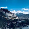 jiongjiong的头像-大海资源库