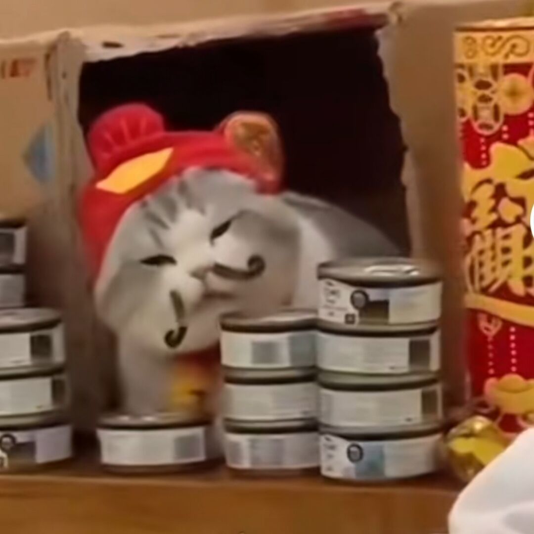 脑壳痛