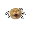 AY桌子