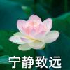 抒云的头像-七玩网资源站
