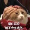 BOBO11223的头像-【TITAIKE】T太科网