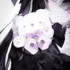 用户12457917的头像-提米资源网