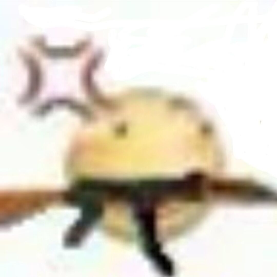 橘络