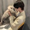 老头木呗