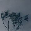 奇点的头像-七日杀中文站