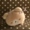 maiami2的头像-iPA资源站