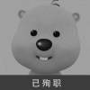 兔宝oO