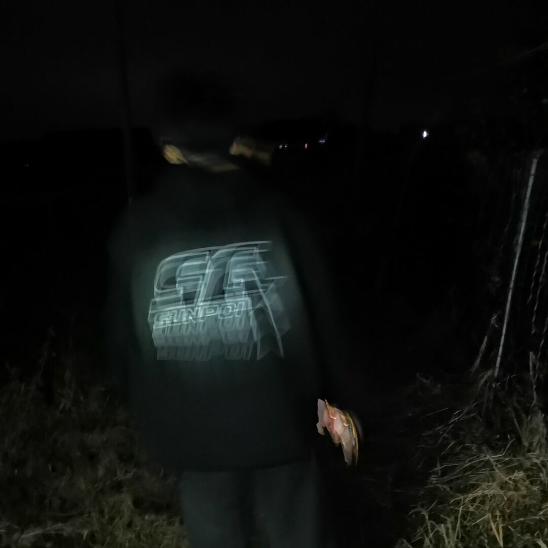 彦孑