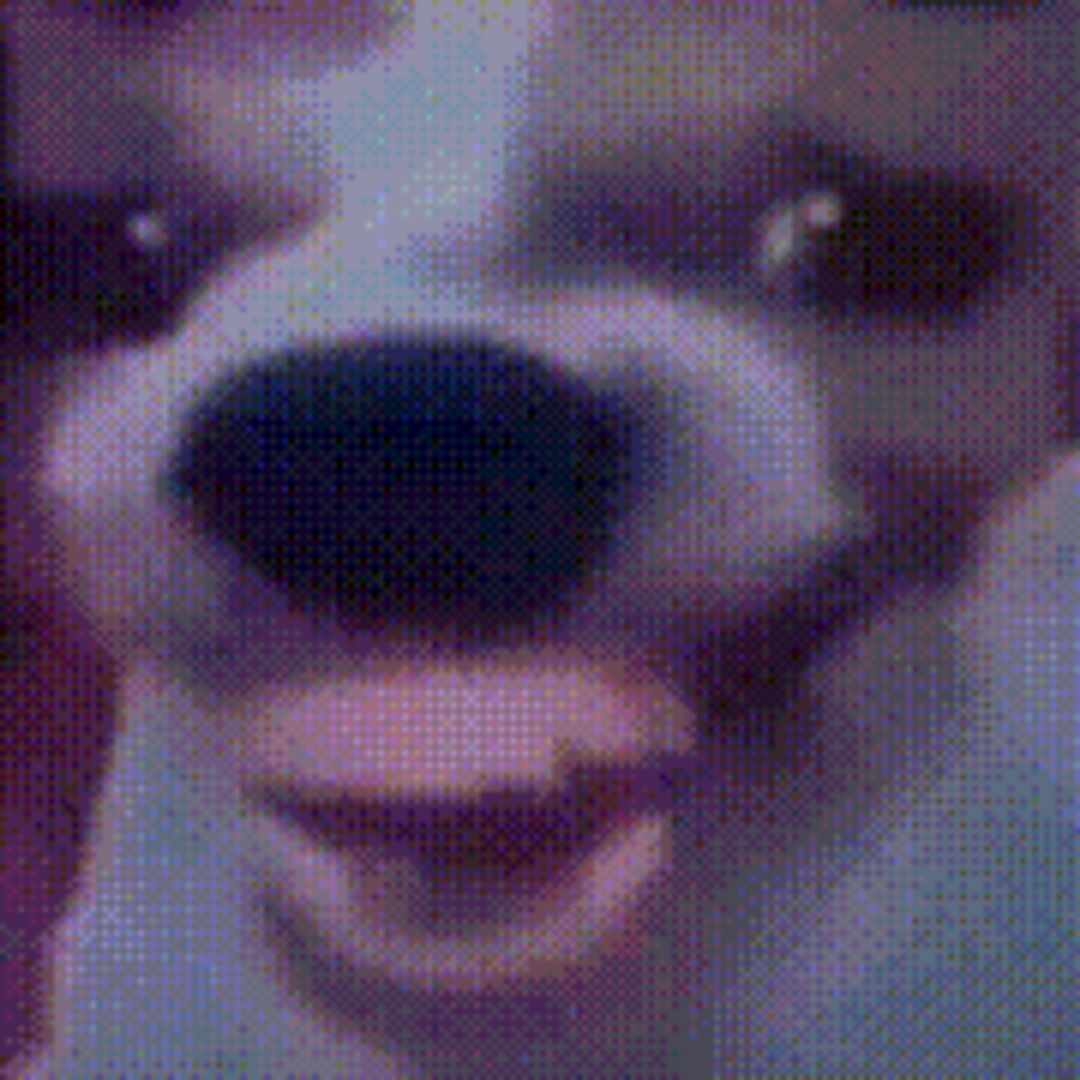 啊？_998