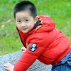 linwei711-兔子博客