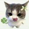 Sylus_888