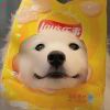 zqzqzqqzqqq的头像-魔酷网