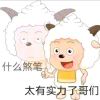 A811685898-资源V站