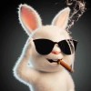 万发缘生，皆系缘分的头像-七玩网