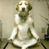 DEDEDE的头像-七玩网