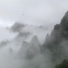 连城翼