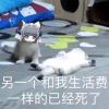 逸墨