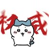望仔的头像-魔酷网