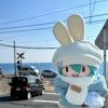 鹿鸣