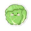 卷心菜大队长