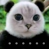常州pc王的头像-【TITAIKE】T太科网