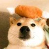 吾_254