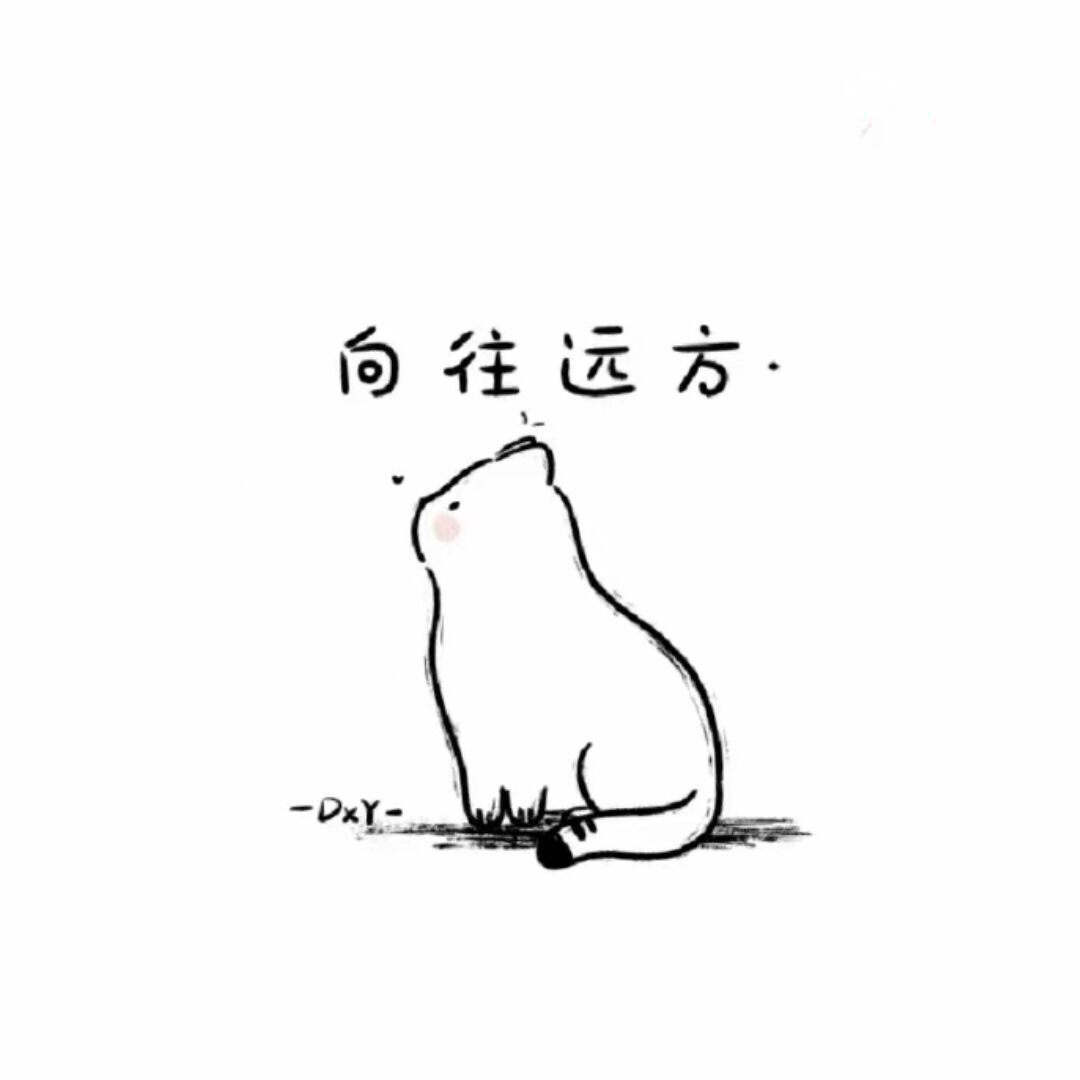 飞鱼_503