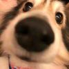 ۣۖิ小ۣۖิ闲ۣۖิ人