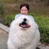user80831236的头像-iPA资源站