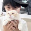 藤原拓海_935