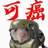 mhggbdfhd的头像-【TITAIKE】T太科网