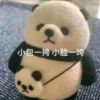 小熊猫_136