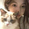 111222买买买的头像-魔酷网