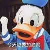 XJoker的头像 - 极核GetShell