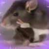 chy_462