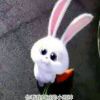 小宇_878