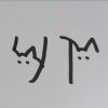 XYT
