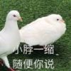 Fireop的头像-梦都歌-精品资源社区,梦都歌资源网