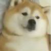ᕕ(ᐛ)ᕗ_630