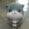 qaz456852的头像-【TITAIKE】T太科网