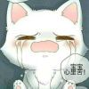 浮华青春、