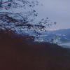Detach_201