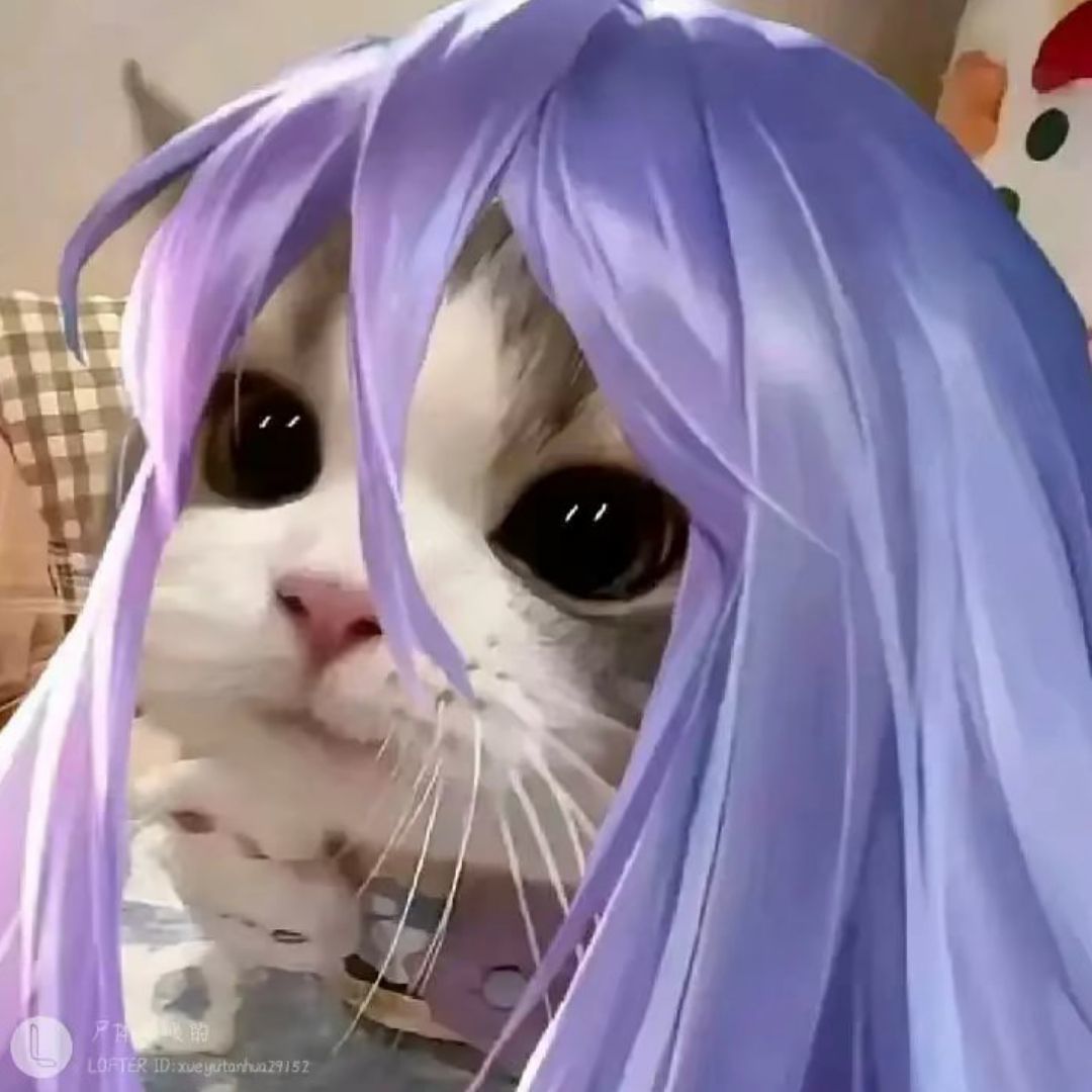 飞升
