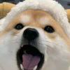 随风而逝./�