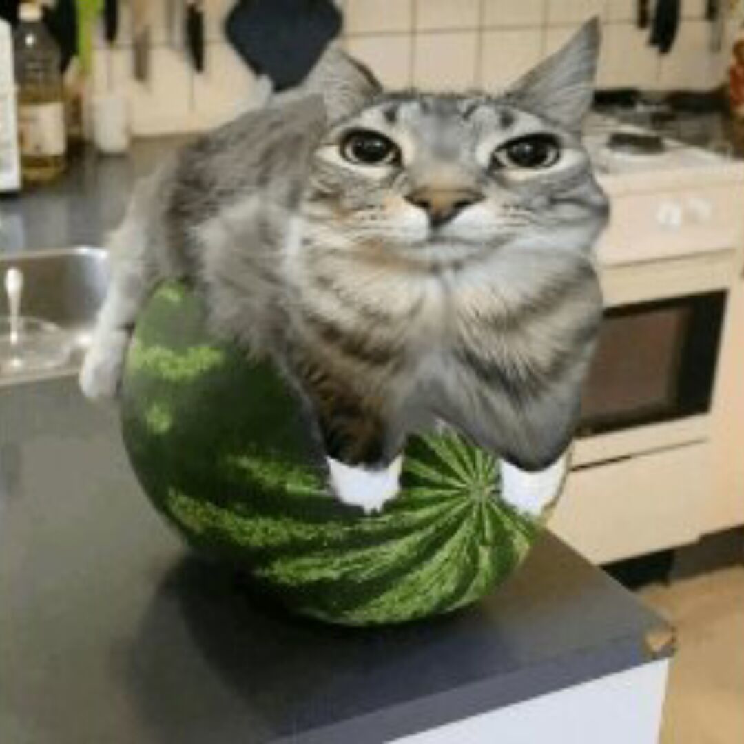 htchbf