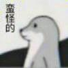 lokk23