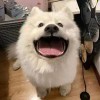 沈乐的头像 - 狐狸资源网