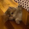 用户12222412的头像-iPA资源站